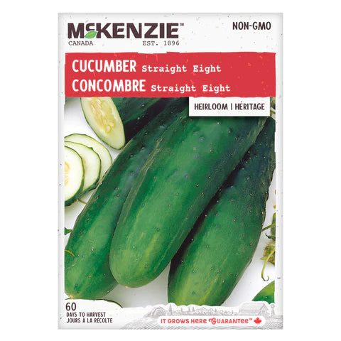 Semence - Concombre straight eight - Mckenzie