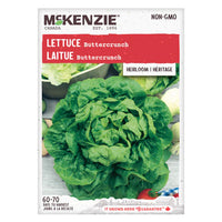 Semence - Laitue buttercrunch - Mckenzie