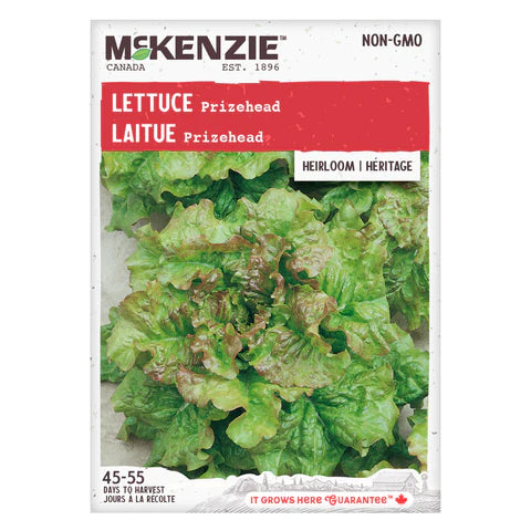 Semence - Laitue Prizehead - Mckenzie