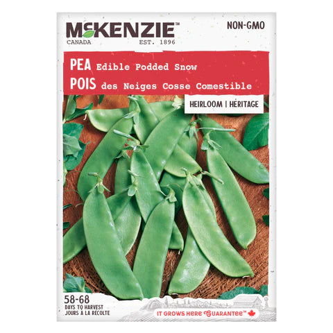 Semence - Pois des neiges cosse comestible - Mckenzie