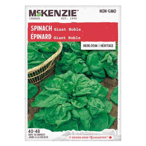 Semence - Épinard Giant noble - Mckenzie