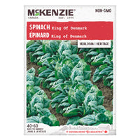 Semence - Épinard King of Denmark - Mckenzie
