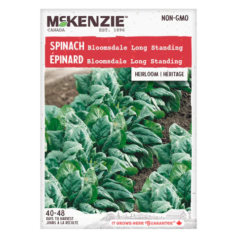 Semence - Épinard bloomsdale long standing - Mckenzie