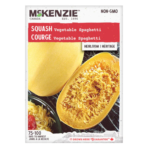 Semence - Courge Vegetable spaghetti - Mckenzie