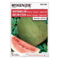 Semence - Melon d'eau Early Canada improved - Mckenzie