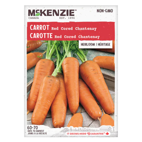 Seed - Carrot Red Cored Chantenay - McKenzie
