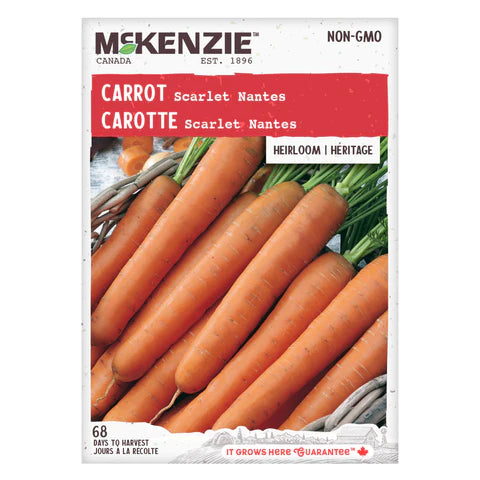 Semence - Carotte Scarlet nantes - Mckenzie