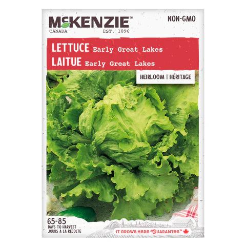 Semence - Laitue early great lakes - Mckenzie