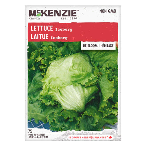Semence - Laitue iceberg - Mckenzie