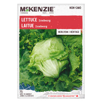 Semence - Laitue iceberg - Mckenzie