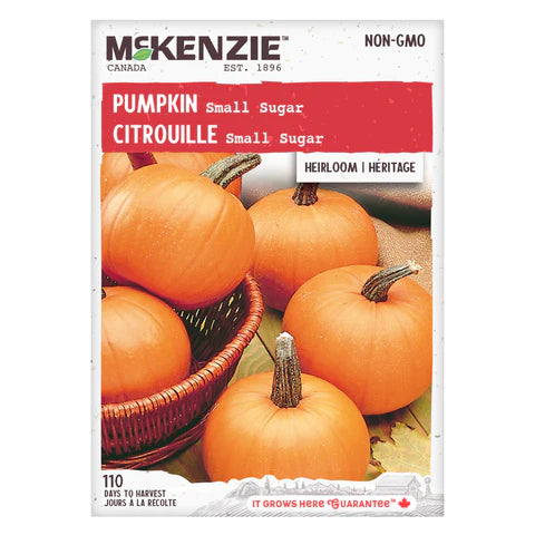 Semence - Citrouille Small sugar - Mckenzie