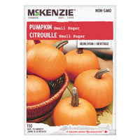 Semence - Citrouille Small sugar - Mckenzie