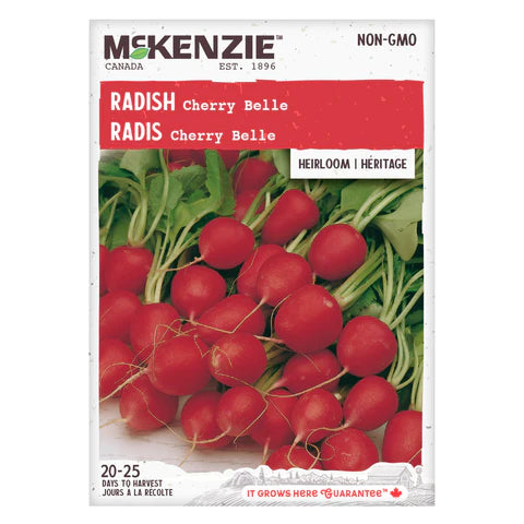 Semence - Radis Cherry belle - Mckenzie