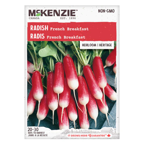 Seed - Radish French Breakfast - McKenzie