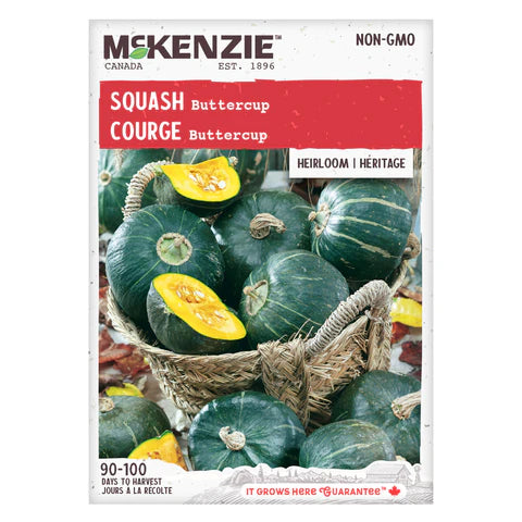 Semence - Courge Buttercup - Mckenzie