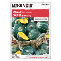 Semence - Courge Buttercup - Mckenzie