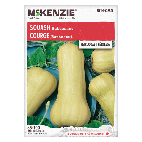 Semence - Courge Butternut - Mckenzie