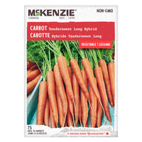 Semence - Carotte hybride tendersweet long - Mckenzie