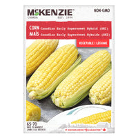 Semence - Maïs Canadian early supersweet hybride (SH2) - Mckenzie