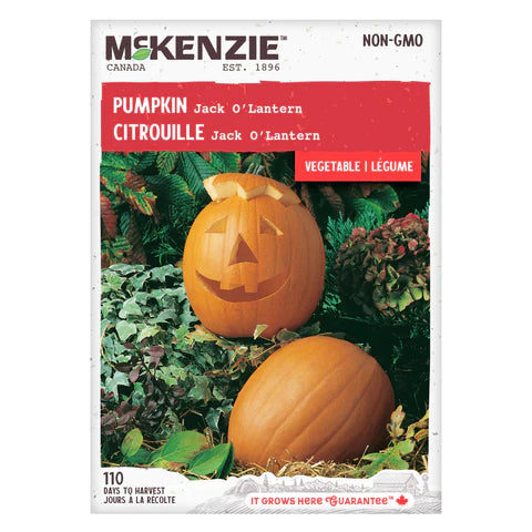 Semence - Citrouille Jack O'Lantern - Mckenzie