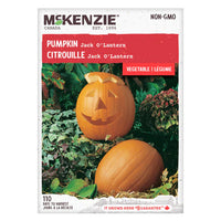 Semence - Citrouille Jack O'Lantern - Mckenzie