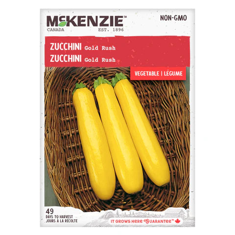 Semence - Zucchini Gold rush - Mckenzie