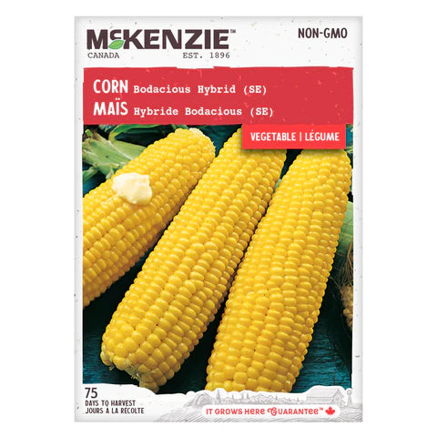 Seed - Bodacious Hybrid Sweet Corn (SE) - Mckenzie