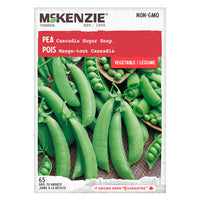 Semence - Pois mange-tout cascadia - Mckenzie