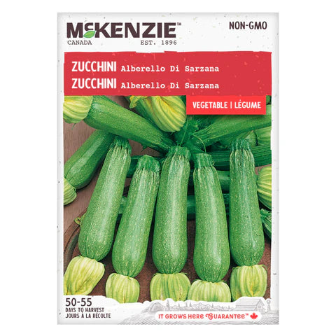 Seed - Zucchini Alberello di Sarzana - McKenzie