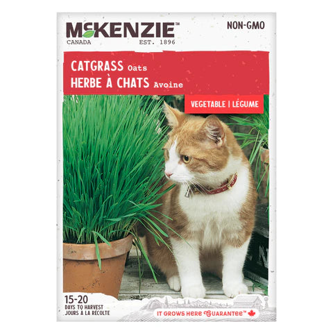 Cat Grass - Oat Seeds - Mckenzie