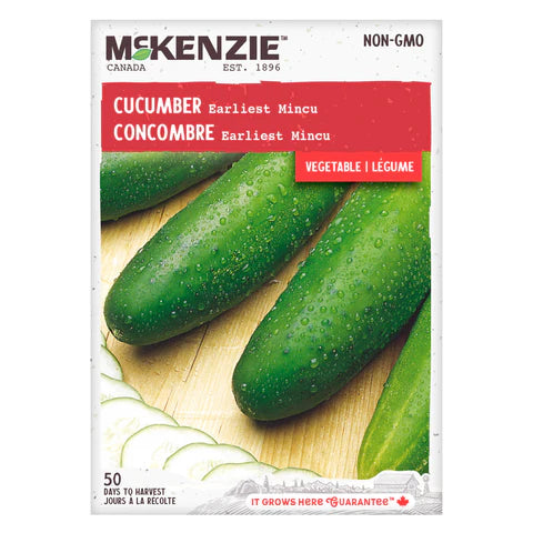 Semence - Concombre earliest mincu - Mckenzie