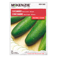 Semence - Concombre earliest mincu - Mckenzie