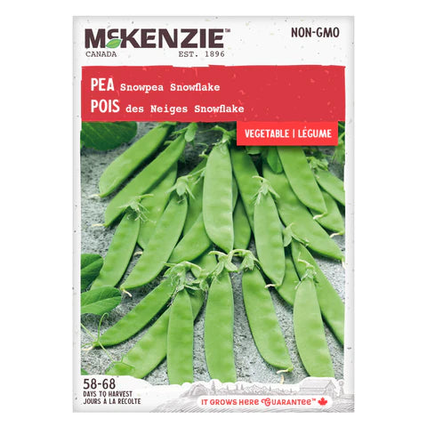 Semence - Pois des neiges Snowflake - Mckenzie