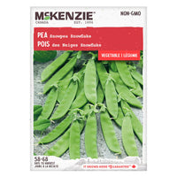 Semence - Pois des neiges Snowflake - Mckenzie