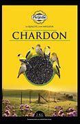 Chardon noir - Picardie