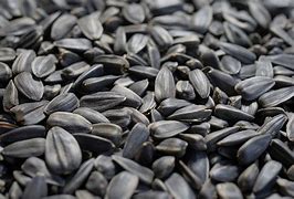 Tournesol noir - 2kg