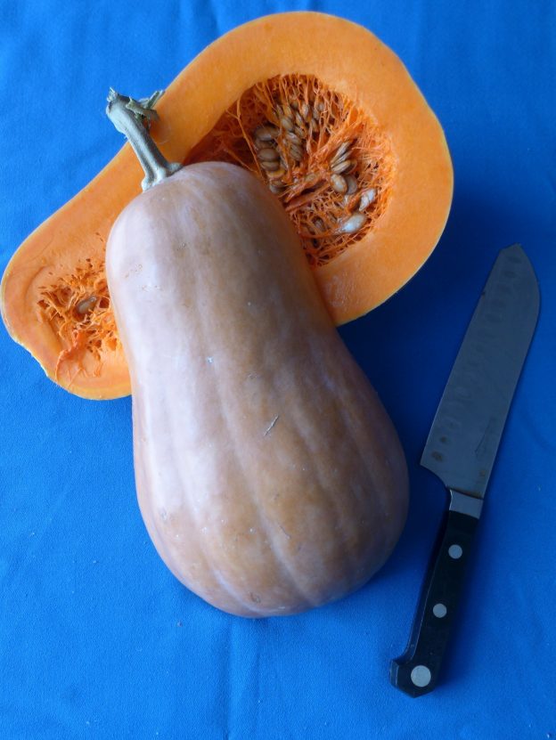 Sachet de semence - Courge Butternut – Le Potager ornemental de Catherine