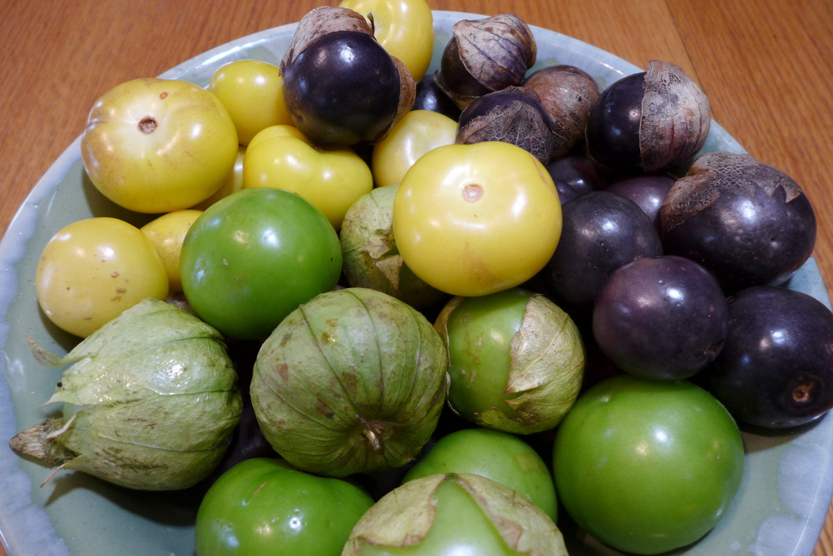 Sachet de semence - Tomatillo mix – Le Potager ornemental de Catherine