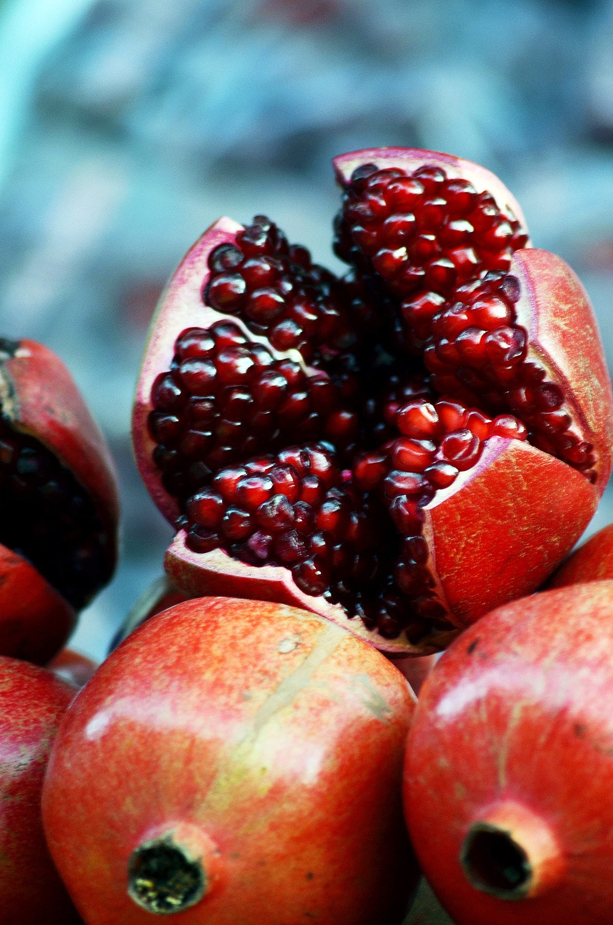 Punica granatum - (Grenande) - pomegrenade