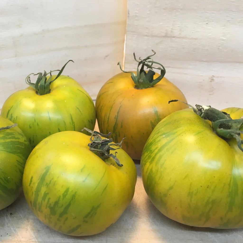Sachet de semence BIO - Tomate Verte Green Zebra - ferme Tourne-sol