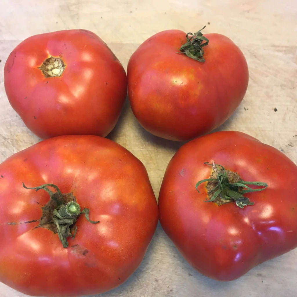 Sachet de semence BIO -Tomate Rouge Moskvich  - ferme Tourne-sol