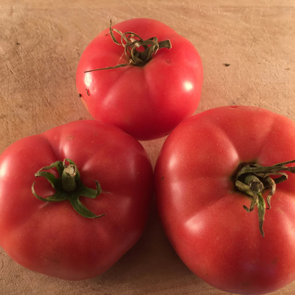 Sachet de semence BIO -Tomate Rose Mac Pink  - ferme Tourne-sol