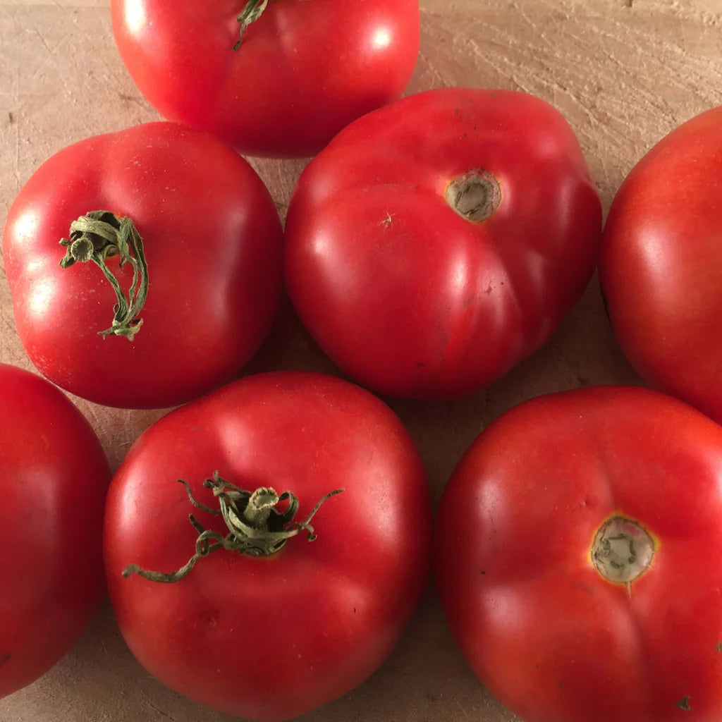 Sachet de semence BIO -Tomate Rouge Québec #13 - ferme Tourne-sol