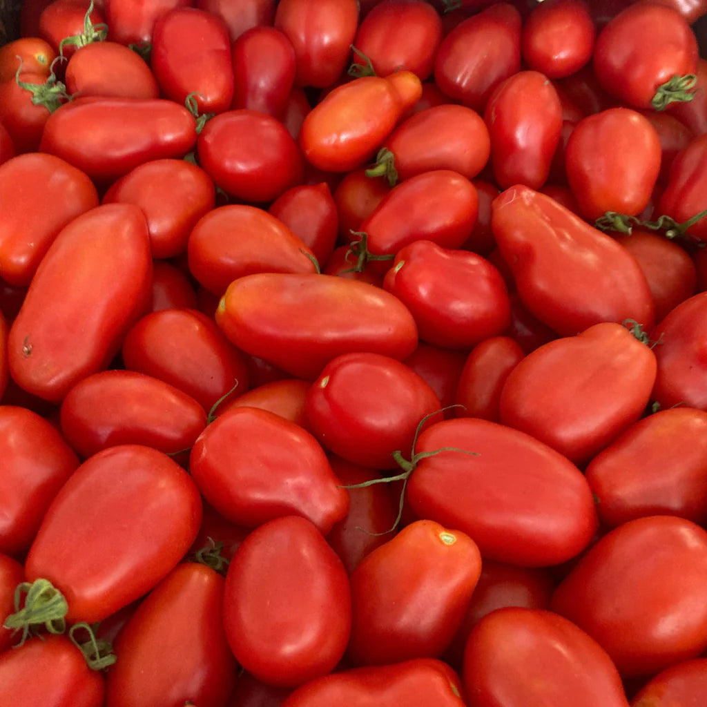 Sachet de semence BIO -Tomate Rouge à Sauce San Marzano  - ferme Tourne-sol