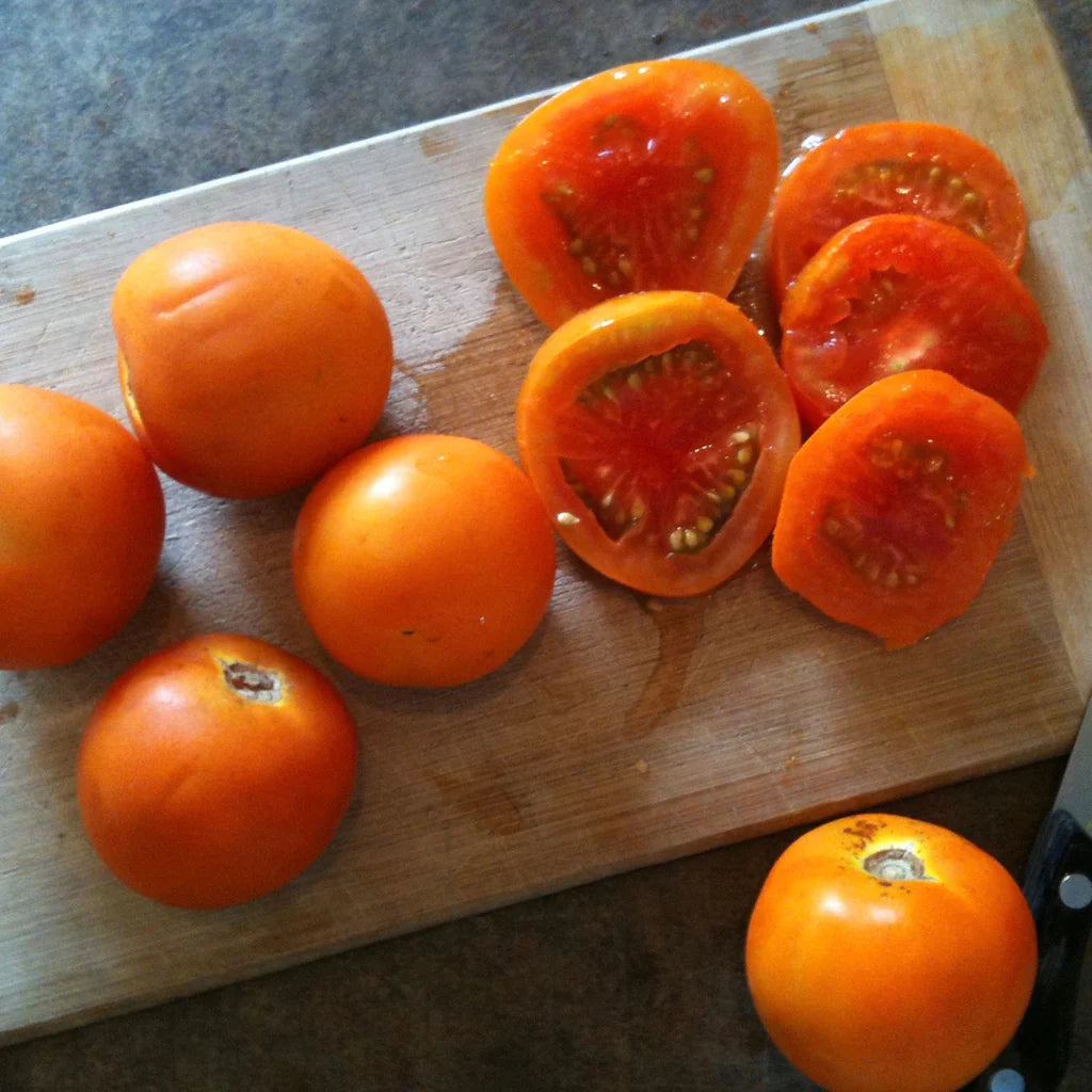 Sachet de semence BIO -  Tomate Jaune Flammée - ferme Tourne-sol