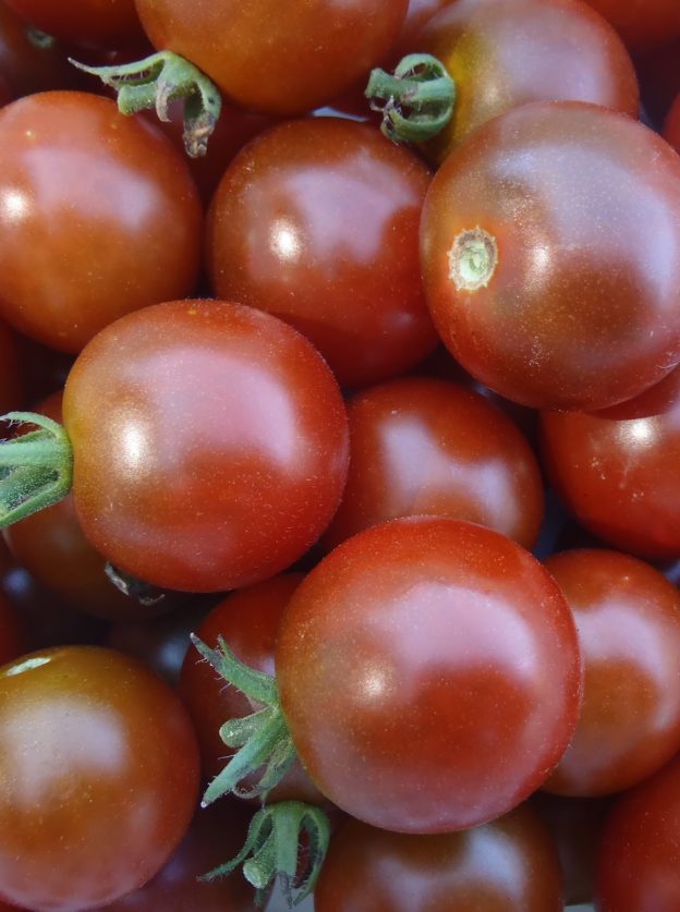 Semence - Tomate Chocolat brown berry - Le potager ornemental de Catherine