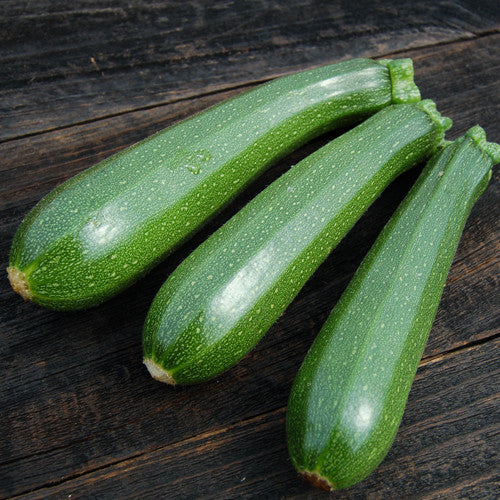 Sachet de semence BIO -zucchini dark green - ferme Tourne-sol