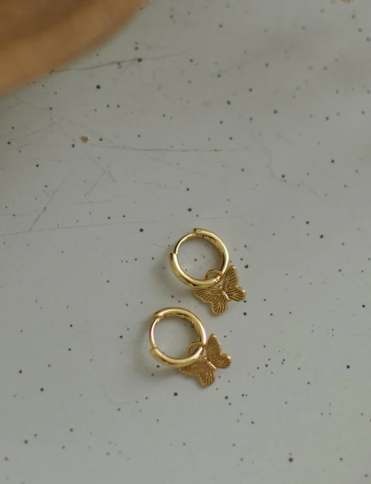 Boucle d'oreilles - Anneaux Butterfly vermeil - Soha & co
