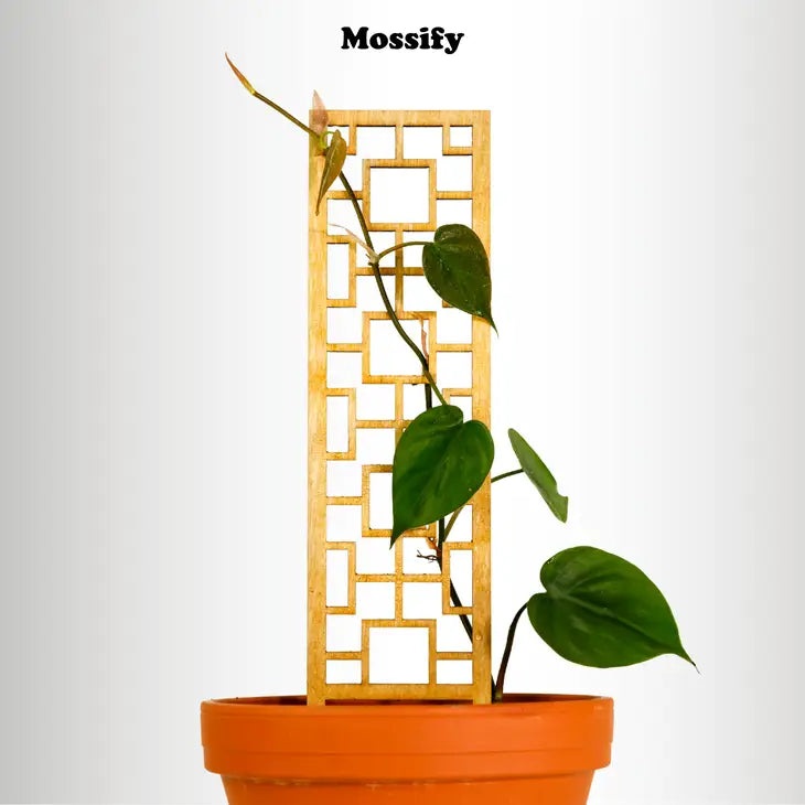 Treillis en bois de forme carrée tropicale - Pour plantes grimpantes - Mossify