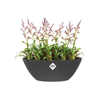 Pot Elho Brussels Ovale 20 - Pot De Fleurs pour Intérieur - Ø 20.2 x H 10.5 cm - Noir/Anthracite